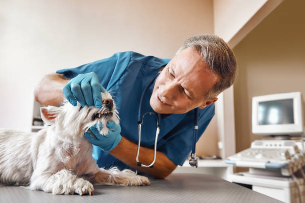 Best Emergency Tooth Extraction in Lykens, PA